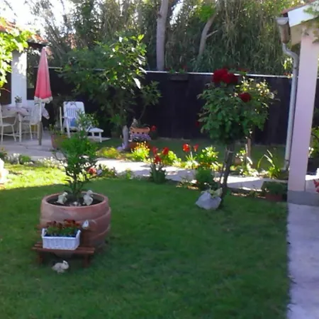 Apartamento Studio Privlaka 14654a *